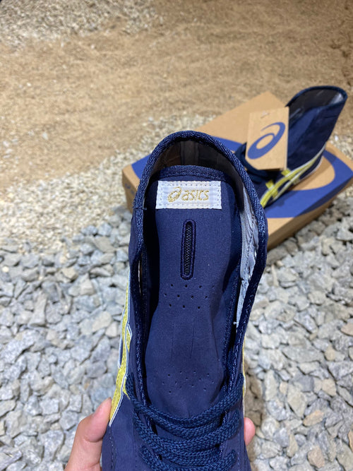 ASICS TIGERS TWR 900 NAVY AND GOLD